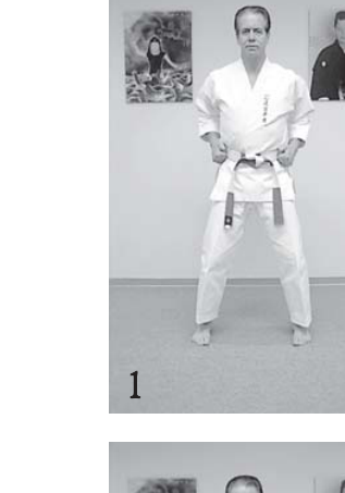 Step 1 ready position