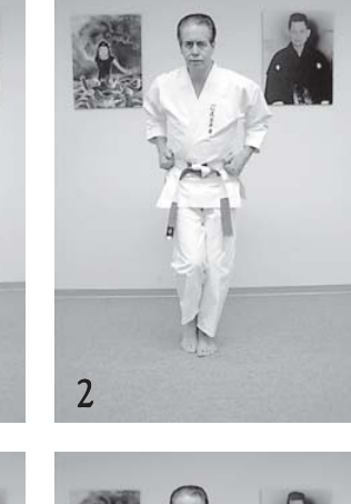 Step 2 crescent step