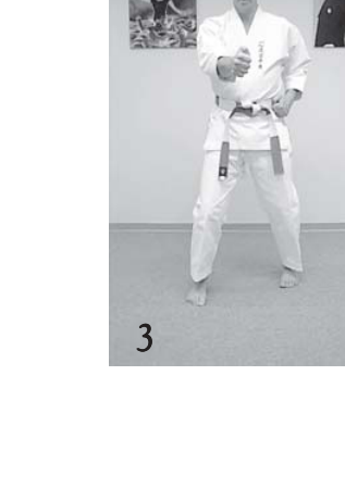 Seiken Oi Tsuki lunge punch position